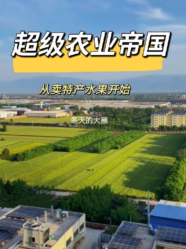 超级农业强国起点中文网